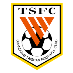 Shandong Taishan B